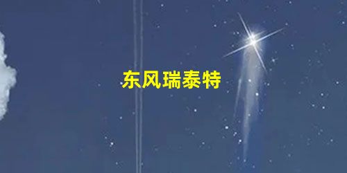 东风瑞泰特 东风瑞泰特