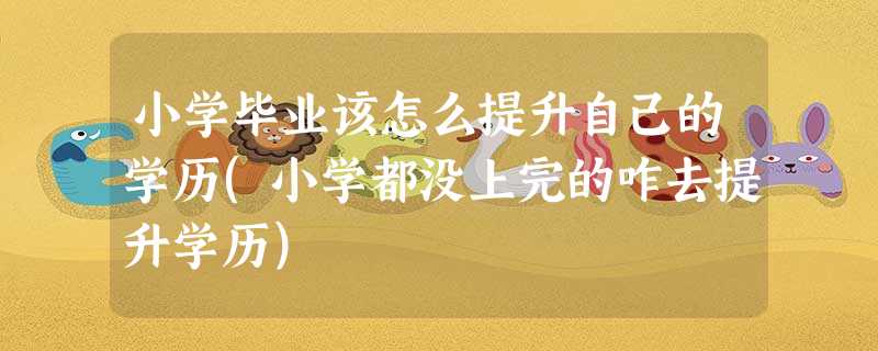 小学毕业该怎么提升自己的学历(小学都没上完的咋去提升学历) 小学毕业该怎么提升自己的学历(小学都没上完的咋去提升学历)