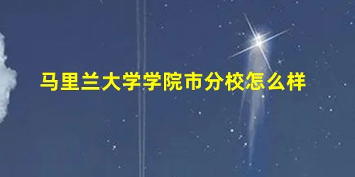 马里兰大学学院市分校怎么样 马里兰大学学院市分校怎么样