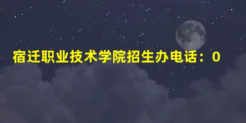 宿迁职业技术学院招生办电话:0527-80805123、80981152 宿迁职业技术学院招生办电话:0527-80805123、80981152