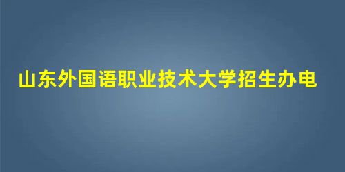 山东外国语职业技术大学招生办电话: 0633-8109666、8109079 山东外国语职业技术大学招生办电话: 0633-8109666、8109079