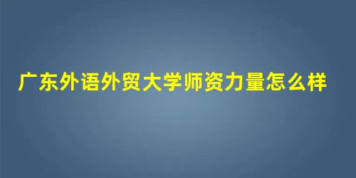 广东外语外贸大学师资力量怎么样,队伍水平如何? 广东外语外贸大学师资力量怎么样,队伍水平如何?