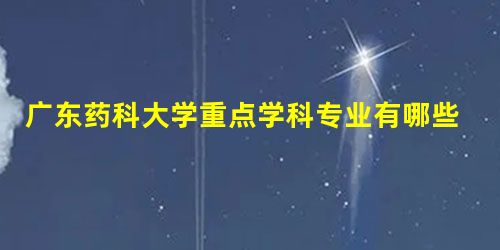 广东药科大学重点学科专业有哪些? 广东药科大学重点学科专业有哪些?