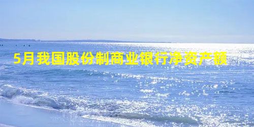 5月我国股份制商业银行净资产额约是城市商业银行净资产额的多少倍 5月我国股份制商业银行净资产额约是城市商业银行净资产额的多少倍