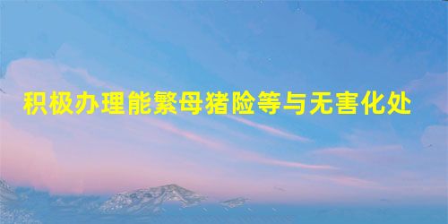 积极办理能繁母猪险等与无害化处理挂钩的保险,按照既定保险赔付程序获得保险公司的赔付 积极办理能繁母猪险等与无害化处理挂钩的保险,按照既定保险赔付程序获得保险公司的赔付