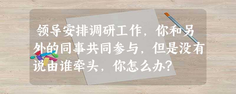 领导安排调研工作,你和另外的同事共同参与,但是没有说由谁牵头,你怎么办? 领导安排调研工作,你和另外的同事共同参与,但是没有说由谁牵头,你怎么办?