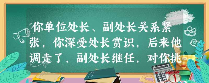 你单位处长、副处长关系紧张,你深受处长赏识,后来他调走了,副处长继任,对你挑剔、刁难,你怎么办 你单位处长、副处长关系紧张,你深受处长赏识,后来他调走了,副处长继任,对你挑剔、刁难,你怎么办