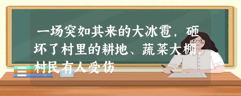 一场突如其来的大冰雹,砸坏了村里的耕地、蔬菜大棚,村民有人受伤 一场突如其来的大冰雹,砸坏了村里的耕地、蔬菜大棚,村民有人受伤