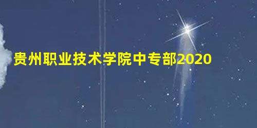 贵州职业技术学院中专部2020年录取分数线 贵州职业技术学院中专部2020年录取分数线