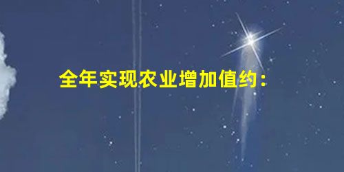 全年实现农业增加值约: 全年实现农业增加值约: