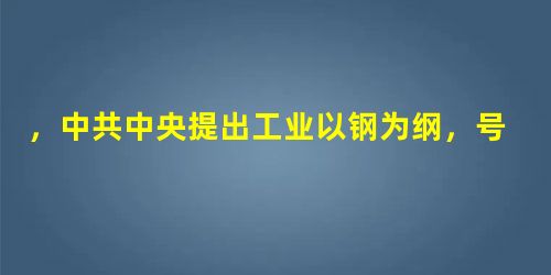 ,中共中央提出工业以钢为纲,号召一切部门都要为钢铁生产停车让 ,中共中央提出工业以钢为纲,号召一切部门都要为钢铁生产停车让
