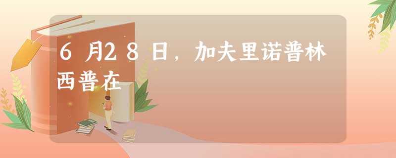 6月28日,加夫里诺普林西普在 6月28日,加夫里诺普林西普在