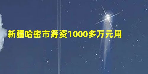 新疆哈密市筹资1000多万元用于保护具有特殊历史意义的珍贵树种左公 新疆哈密市筹资1000多万元用于保护具有特殊历史意义的珍贵树种左公