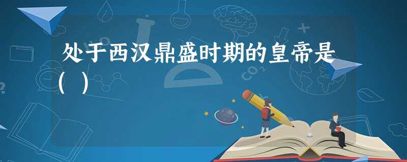 处于西汉鼎盛时期的皇帝是() 处于西汉鼎盛时期的皇帝是()