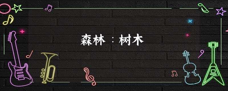 森林∶树木 森林∶树木