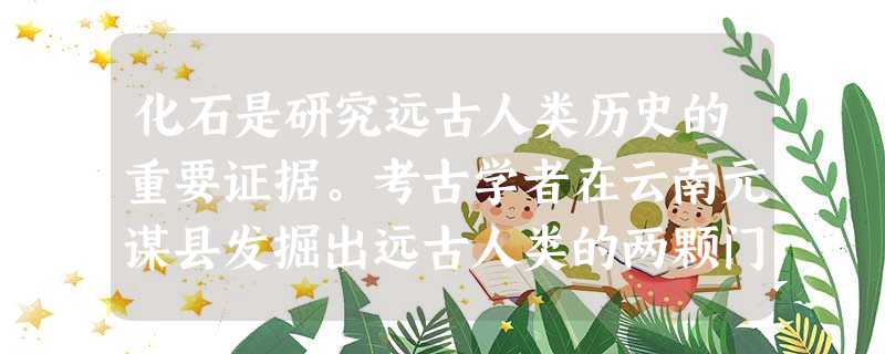 化石是研究远古人类历史的重要证据。考古学者在云南元谋县发掘出远古人类的两颗门 化石是研究远古人类历史的重要证据。考古学者在云南元谋县发掘出远古人类的两颗门