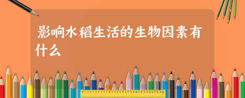影响水稻生活的生物因素有什么 影响水稻生活的生物因素有什么