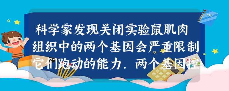 科学家发现关闭实验鼠肌肉组织中的两个基因会严重限制它们跑动的能力.两个基因控 科学家发现关闭实验鼠肌肉组织中的两个基因会严重限制它们跑动的能力.两个基因控