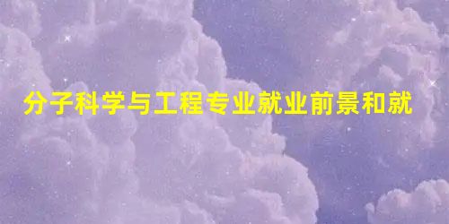分子科学与工程专业就业前景和就业方向 分子科学与工程专业就业前景和就业方向