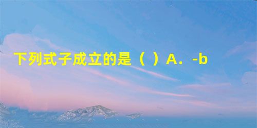 下列式子成立的是( )A.-b-a=-baB.--b-a=-baC.-ba=-b-aD.- 下列式子成立的是( )A.-b-a=-baB.--b-a=-baC.-ba=-b-aD.-