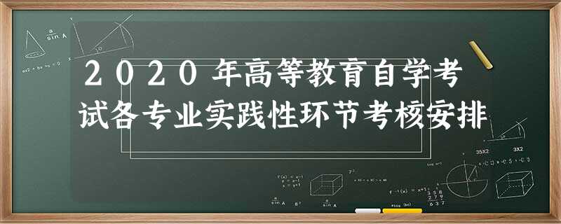 2020年高等教育自学考试各专业实践性环节考核安排 2020年高等教育自学考试各专业实践性环节考核安排