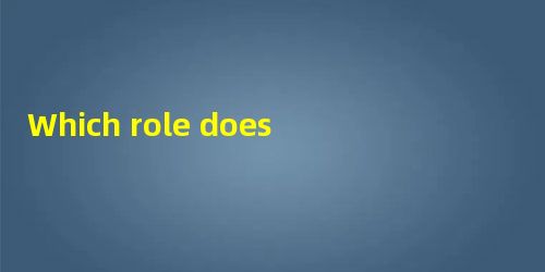 Which role does the teacher play in the following activities? When the Which role does the teacher play in the following activities? When the