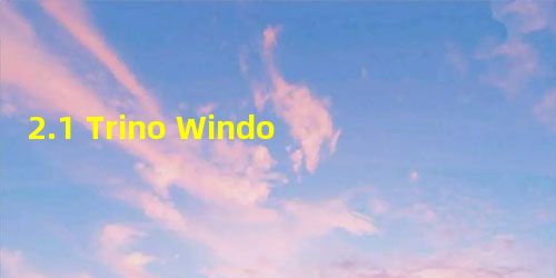 2.1 Trino Windows开发环境搭建—组件篇 2.1 Trino Windows开发环境搭建—组件篇