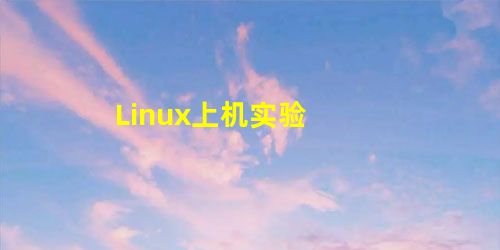 Linux上机实验 Linux上机实验