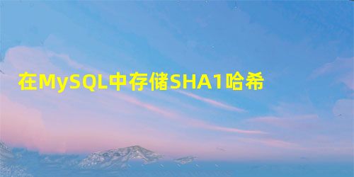 在MySQL中存储SHA1哈希值 在MySQL中存储SHA1哈希值
