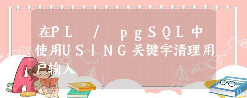 在PL / pgSQL中使用USING关键字清理用户输入 在PL / pgSQL中使用USING关键字清理用户输入