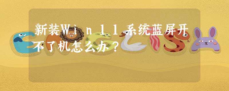 新装Win11系统蓝屏开不了机怎么办? 新装Win11系统蓝屏开不了机怎么办?