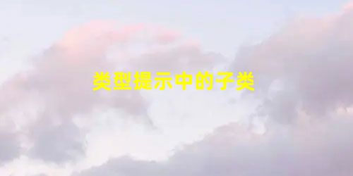 类型提示中的子类 类型提示中的子类