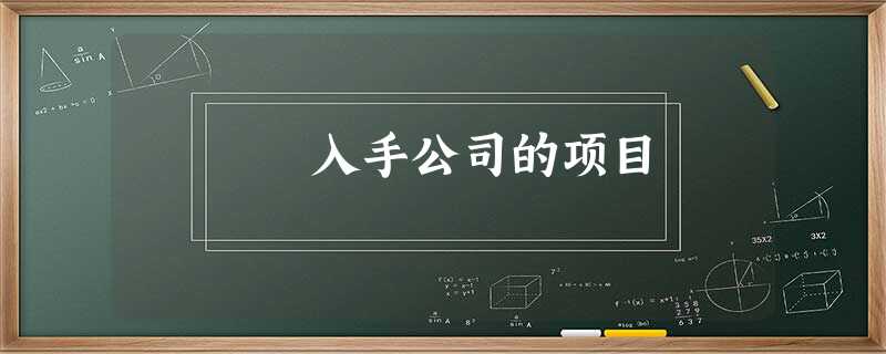 入手公司的项目 入手公司的项目