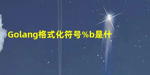 Golang格式化符号%b是什么意思 Golang格式化符号%b是什么意思