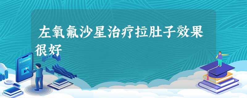 左氧氟沙星治疗拉肚子效果很好 左氧氟沙星治疗拉肚子效果很好