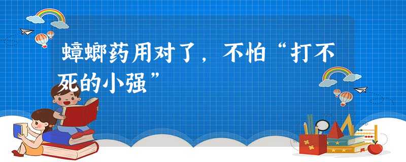 蟑螂药用对了,不怕“打不死的小强” 蟑螂药用对了,不怕“打不死的小强”