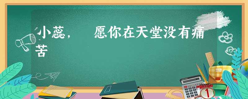 小蕊, 愿你在天堂没有痛苦 小蕊, 愿你在天堂没有痛苦