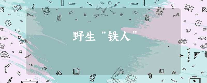 野生“铁人” 野生“铁人”