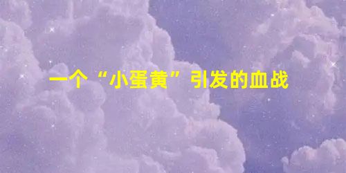 一个“小蛋黄”引发的血战 一个“小蛋黄”引发的血战