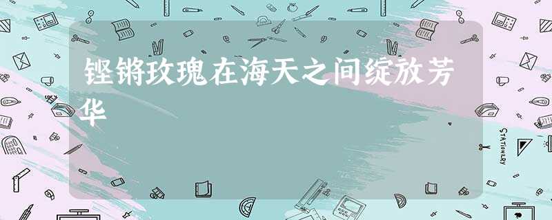 铿锵玫瑰在海天之间绽放芳华 铿锵玫瑰在海天之间绽放芳华