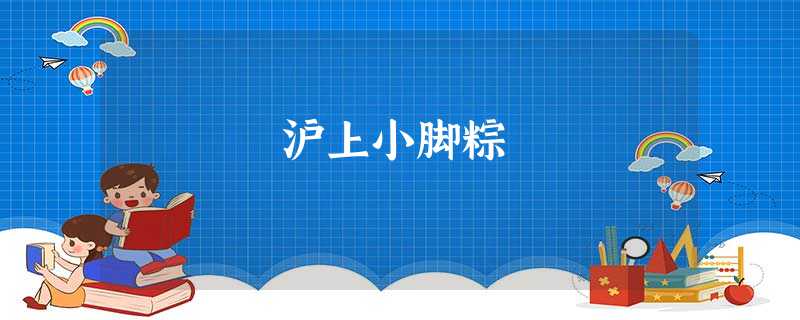 沪上小脚粽 沪上小脚粽