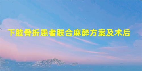 下肢骨折患者联合麻醉方案及术后健康管理的临床有效性分析 下肢骨折患者联合麻醉方案及术后健康管理的临床有效性分析