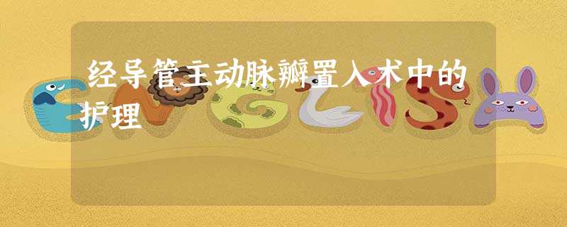 经导管主动脉瓣置入术中的护理 经导管主动脉瓣置入术中的护理