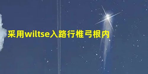 采用wiltse入路行椎弓根内固定治疗腰椎压缩性骨折的临床效果 采用wiltse入路行椎弓根内固定治疗腰椎压缩性骨折的临床效果