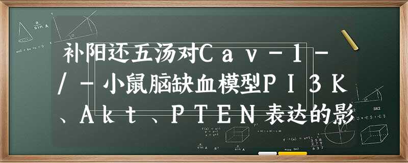 补阳还五汤对Cav-1-/-小鼠脑缺血模型PI3K、Akt、PTEN表达的影响 补阳还五汤对Cav-1-/-小鼠脑缺血模型PI3K、Akt、PTEN表达的影响