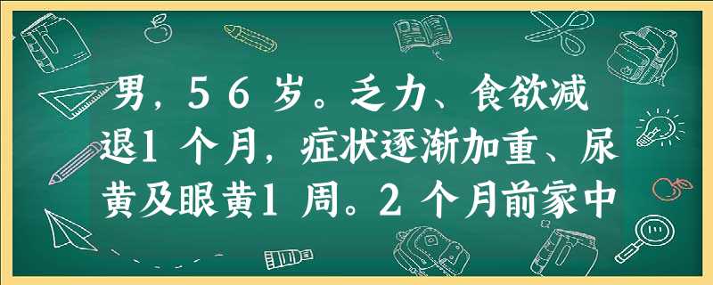 男,56岁。乏力、食欲减退1个月,症状逐渐加重、尿黄及眼黄1周。2个月前家中装修房子及搬家劳累。慢性乙型肝炎20年,无明显症状,未监测肝功能,未进行抗HBV治疗。查体:慢性病容,神志清,皮肤巩膜黄染, 男,56岁。乏力、食欲减退1个月,症状逐渐加重、尿黄及眼黄1周。2个月前家中装修房子及搬家劳累。慢性乙型肝炎20年,无明显症状,未监测肝功能,未进行抗HBV治疗。查体:慢性病容,神志清,皮肤巩膜黄染,