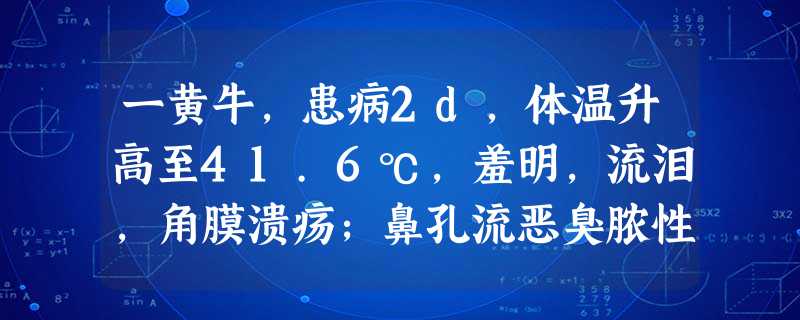 一黄牛,患病2d,体温升高至41.6℃,羞明,流泪,角膜溃疡;鼻孔流恶臭脓性鼻液,且有鼻液结痂;有乌灰色 一黄牛,患病2d,体温升高至41.6℃,羞明,流泪,角膜溃疡;鼻孔流恶臭脓性鼻液,且有鼻液结痂;有乌灰色