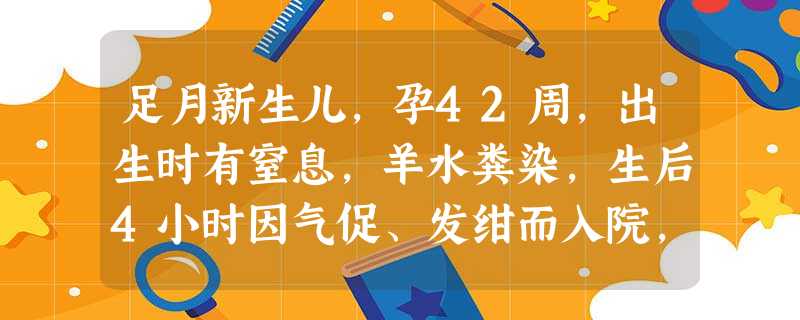 足月新生儿,孕42周,出生时有窒息,羊水粪染,生后4小时因气促、发绀而入院,体检发现:患儿全身青紫, 足月新生儿,孕42周,出生时有窒息,羊水粪染,生后4小时因气促、发绀而入院,体检发现:患儿全身青紫,