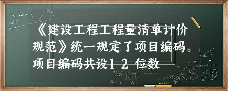 《建设工程工程量清单计价规范》统一规定了项目编码。项目编码共设12位数 《建设工程工程量清单计价规范》统一规定了项目编码。项目编码共设12位数