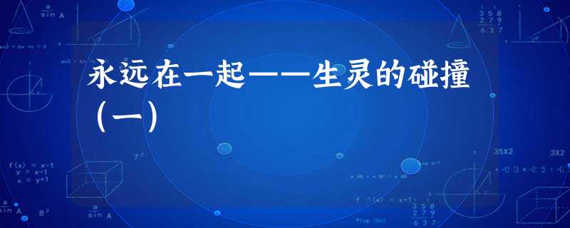 永远在一起——生灵的碰撞(一) 永远在一起——生灵的碰撞(一)